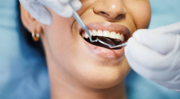 Best Urgent Dental Care in Bowman, ND